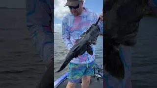 River MONSTER caught!!! 👀 #shorts