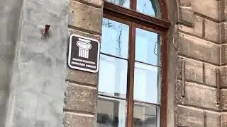 Город у Черного моря и его горожане🌼🌊