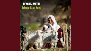 Sebebo Uzun Hava