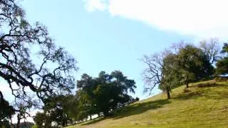 Musica para relajación 