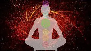 Love Meditation | Activate All Chakras & Raise Your Frequency | Adapt Love As Your Dominat Vibration