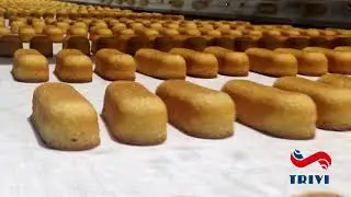 TRIVI Автоматическая линия производства бисквитных изделий