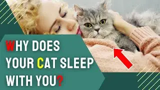 Why Does Your Cat Sleep With You? Discover the Science Behind this Cute Habit!
