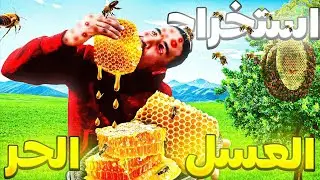 حياة البرية : جني العسل الحر الطبيعي الأصلي😋 بطريقة بدائية تقليدية شاهد خطورة خلية النحل🐝