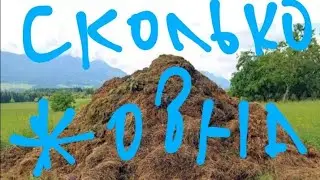 Последние тёплые дни. Подготовка к переделки сарая. Навозная куча и её жители.