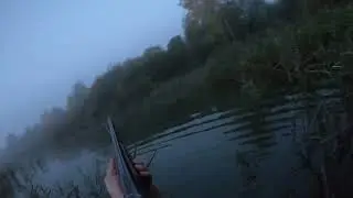 Ищем уток. Looking for ducks.