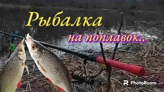 "Краснопёрка гоняет поплавок."