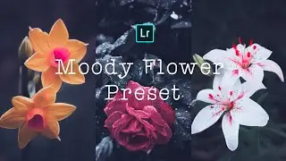 How to edit Moody Flower / Moody flower  editing / flower moody preset