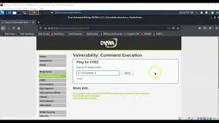 Exploit Vulnerable Web Applications Using Command Injection