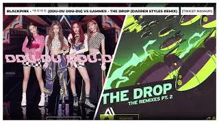 BLACKPINK - 뚜두뚜두 & (DDU-DU DDU-DU x THE DROP Darren Styles Remix) |  Twicet mashup