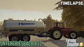 Spreading slurry. Plowing. Mowing - FS19 Timelapse with Seasons in Untergriesbach #12