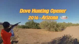 Dove Hunting Opener 2016 Arizona-3 Limits!