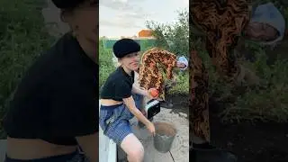 #гламур по-деревенски
