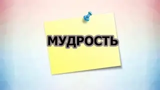 КРАСИВАЯ ПРИТЧА ПРО ДОБРО   ЖИВИТЕ  ДРУЖНО.   ПСИХО ТВ