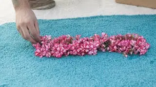 Arucas, referencia del Corpus Christi en Gran Canaria