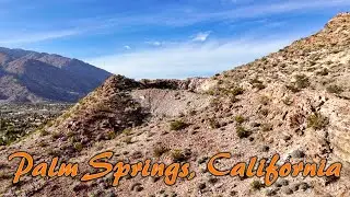 Palm Springs Reveal
