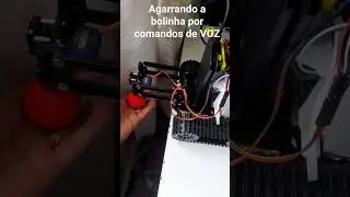 Agarrando a bolinha por comandos de voz - Robótica com Inteligência Artificial