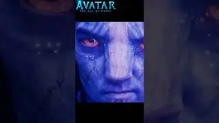 Аватар 2 рационализация