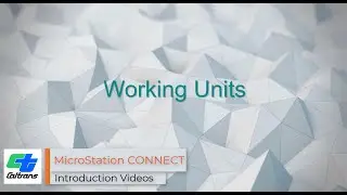 04   Working Units