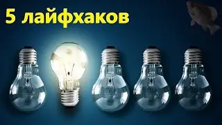 🐟5 лайфхаков · Crossout/Кроссаут