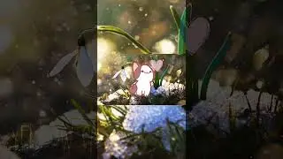 у меня скоро др :3 