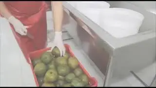 HELADOS ARTIKA