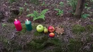 ЛЕСНАЯ СИЛА   ДЛЯ ВСЕХ    ведьмина изба