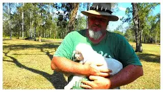 On A Friends Farm