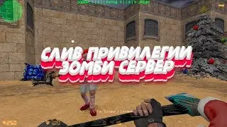 НОВАЯ ПРИВИЛЕГИЯ КИНГ? СЛИВ ПРИВИЛЕГИИ БОСС+АДМИН+ВИП [VIP+ADMIN+BOSS+DIAMOND+KING] МОЙ ЗОМБИ СЕРВЕР