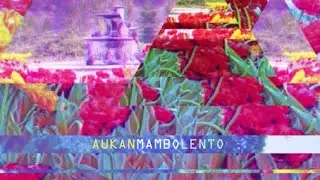 Aukan - Mambo lento (rawshit 7)