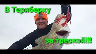 На рыбалку за Полярный круг!!! Териберка ЧАСТЬ 1.