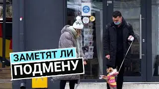 Попросили последить за собакой и поменяли хозяев