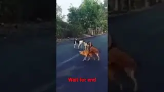 wait for end video#viral #pkgameryt #haha #viralvideo #foryou #funny #all#short