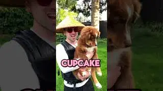 Meet The Cupcake IRL | #tf2