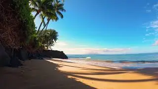 8 Hours - Tropical Beach Relaxation & Calm Ocean Wave Sounds | Great Escape
