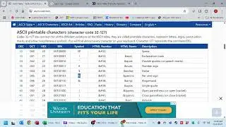 Using CHAR Function in MS Excel
