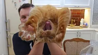 Сглазили в Прямом Эфире ! Пришлось Делать Защиту ! Томаса Лапка На Удачу