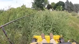 Cutting Real Tall Grass   Hustler Raptor Zero Turn