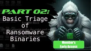 02 - Performing Basic Triage Analysis and Unpacking with x64dbg