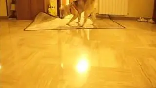 aki e la macchinetta fotografica...
