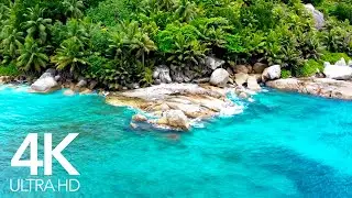 The Perfect Paradise Beach Scene in 4K for Relaxation | 4K Video Ultra HD