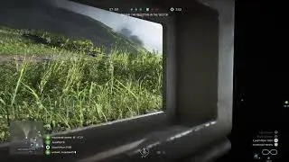 BFv