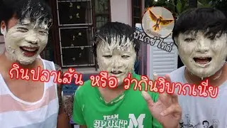 วิธีกินปลาเส้นให้ถูกต้อง โง่มาตั้งนาน ? ตอนจบพีคมาก | Phoenix Tie Show EP.18
