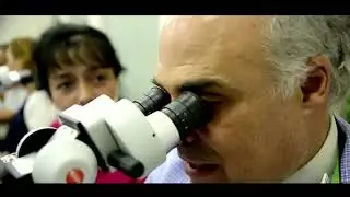 International Dental Studies Fully Equipped with Kaps Microscopes