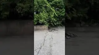 Прыжок!!!!!