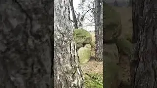 Мегалитический погребальный комплекс - дольмен ок. 3000 лет до н.э. Германия #дольмены  #мегалиты