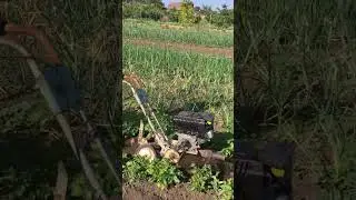 Мотокультиватор КРОТ , окучник, прополка межрядий, OIEO MAC H 800.