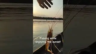 Leave me a comment!!#shorts #fishing #viralvideo #sunset #shrimp