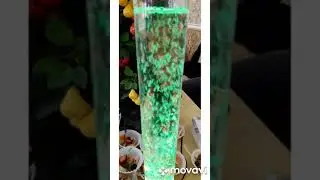 Кизилюрт Свадьба :  Акнада Свадьба
