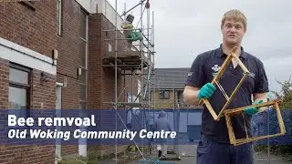Honeycomb removal from Old Woking Community Centre